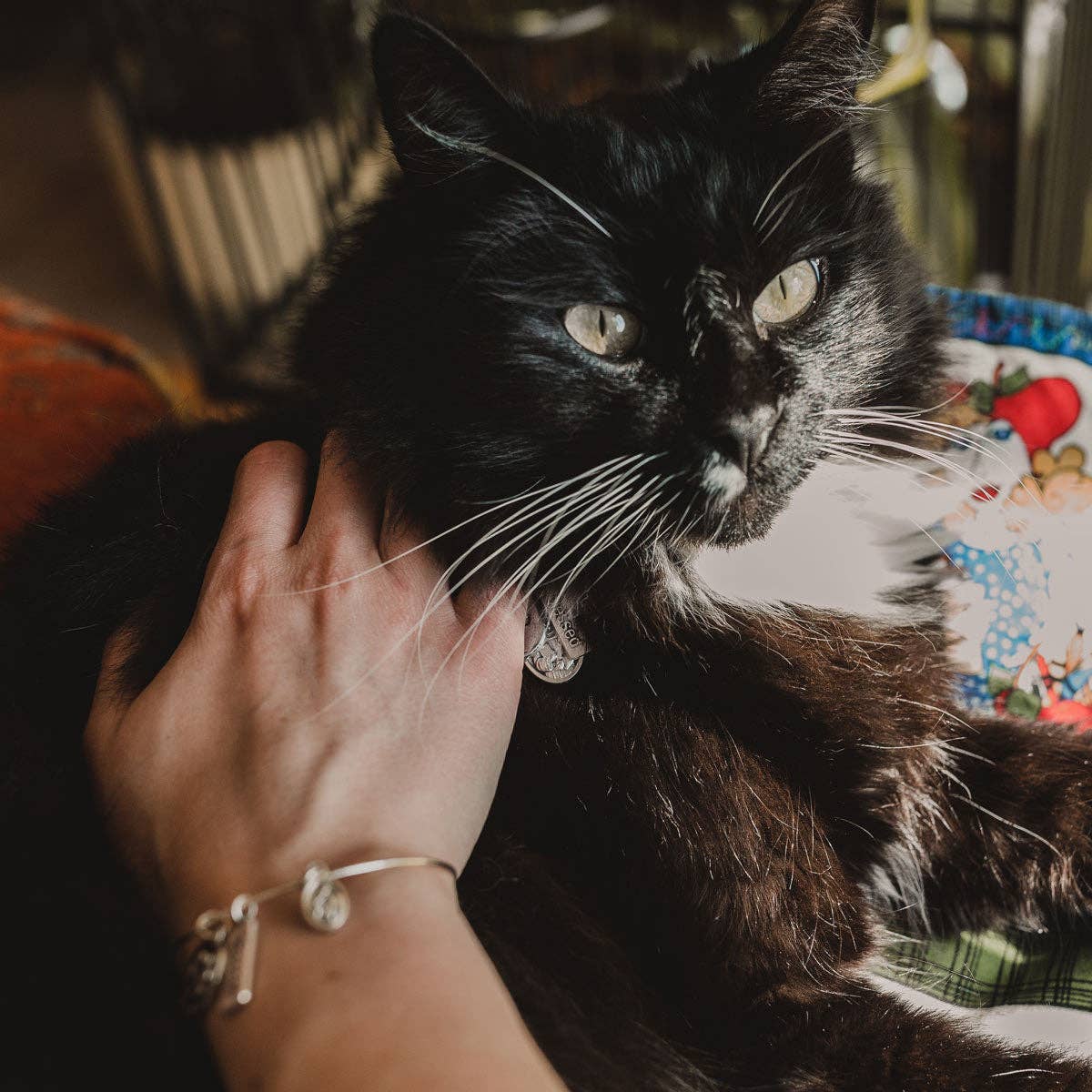 Saints Francis and Anthony Pet Blessing Tag