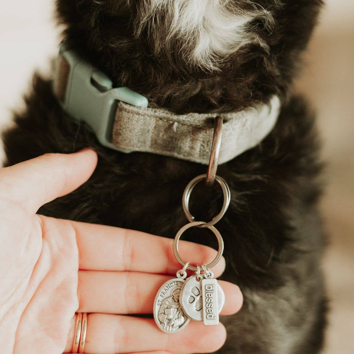Saints Francis and Anthony Pet Blessing Tag